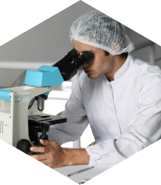 A man wearing a hairnet looking into a microscope